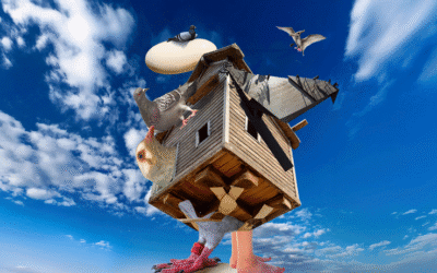 Pigeon Paradox